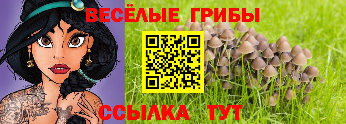 Галлюциногенные грибы MAGIC MUSHROOMS  Псилоцибиновые грибы MAGIC MUSHROOMS  Вход с VPN  Карталы 